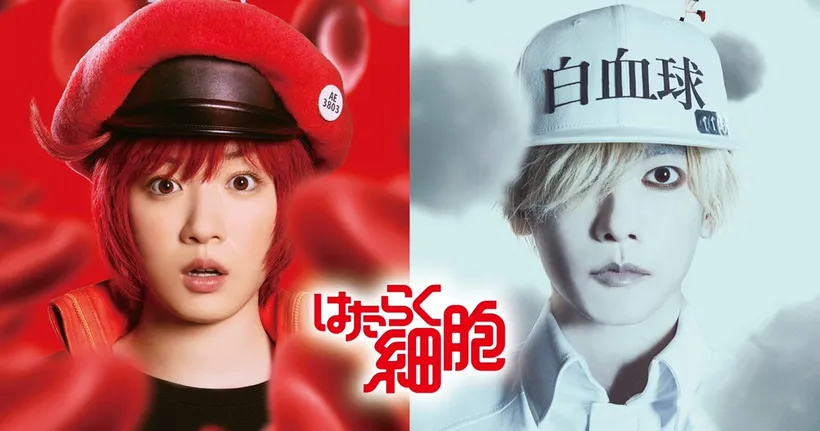 Cells at Work! เซลล์ขยันพันธุ์เดือด ประกาศสร้างภาพยนตร์คนแสดง ฉายที่ญี่ปุ่นธันวาคมนี้!