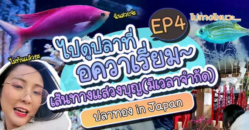 อควาเรี่ยมญี่ปุ่น และเส้นทางแสวงบุญของพี่เดล | Maxwell Aquapark | Ueno Park ❤ ปลาทอง in Japan EP4