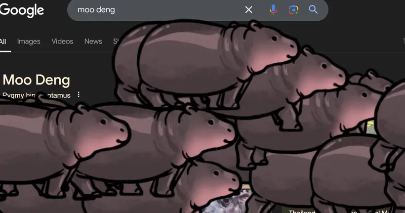 Google มีลูกเล่นใหม่ พิมพ์ค้นหา 'หมูเด้ง' แล้วจะมีปุ่มให้อัญเชิญออกมา!