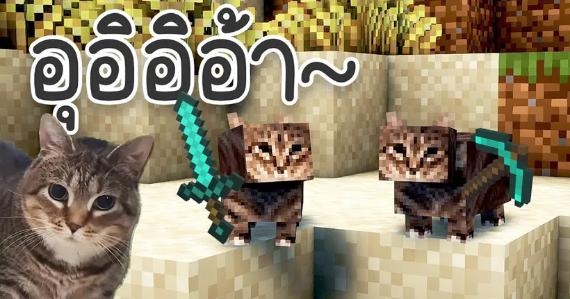 ทำไมผมกลายเป็นแมว OIIA!? และมันหมุนไม่หยุด "อุอิอิอา" | Minecraft