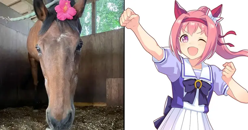 Haru Urara ครองใจทั่วโลก! จากม้าผู้ไม่เคยคว้าชัยชนะ สู่ไอคอนแห่งความหวังในเกม Uma Musume