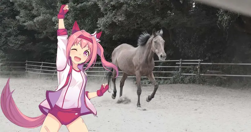 ลาก่อน Haru Urara ต้นแบบสาวม้าเกม Umamusume: Pretty Derby เดินทางกลับดาวแล้ว