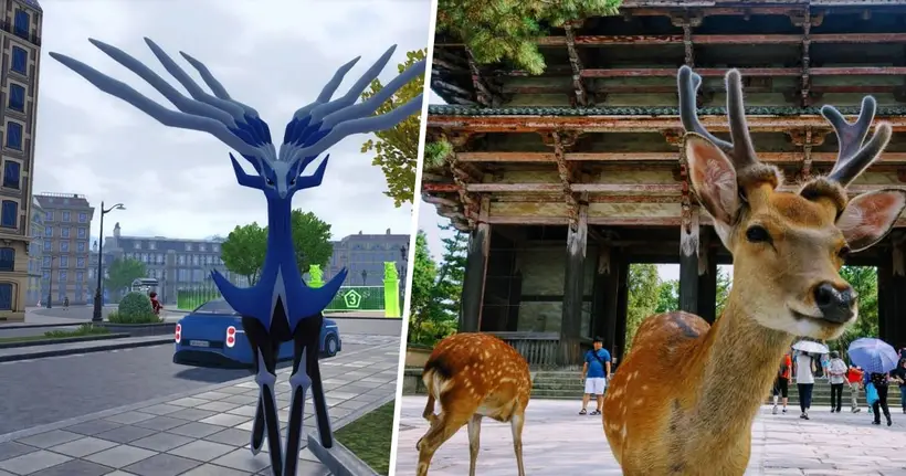 ผู้เล่น Pokemon Legends: Z-A แซว! ศึก Ranked ซีซั่น 2 นึกว่า "สวนกวางนารา" เพราะ Xerneas เกลื่อน!