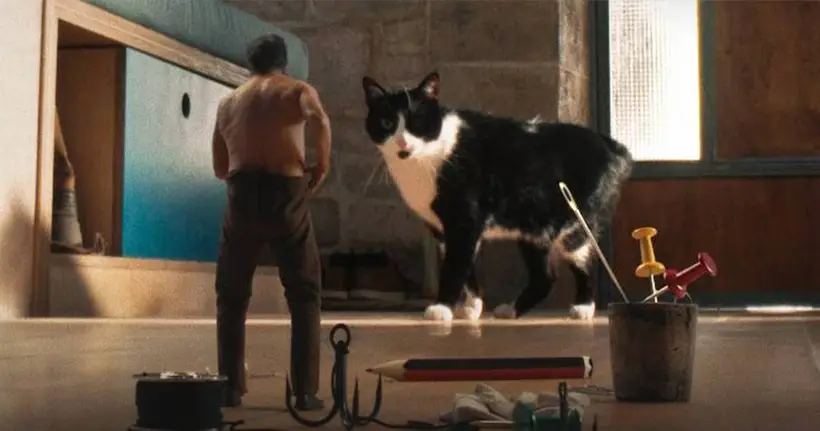 รวมเรื่องราวสุดอัศจรรย์ของมนุษย์ย่อส่วน The Shrinking Man พร้อมขอเชิญชมภาพยนตร์รอบสื่อมวลชน