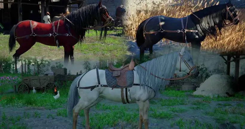 [ไกด์เกม] Crimson Desert เผยพิกัด "ม้าระดับตำนาน" ทั้ง 3 ตัว สุดหายาก