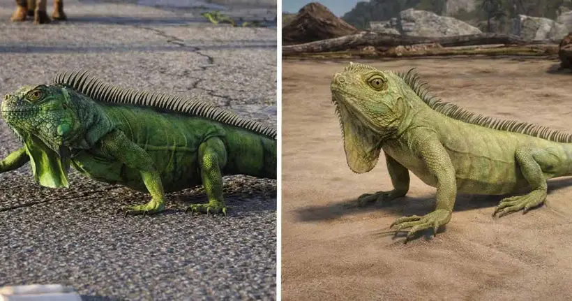 GTA 6 vs RDR2 เทียบชัด ๆ กราฟิกที่ต่างกัน จนแม้แต่ "อีกัวน่า" ก็ยังสมจริงจนน่าทึ่ง