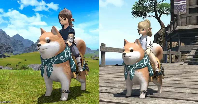 จ่ายภาษีท้องถื่นวันนี้ ได้หมาชิบะไปขี่ฟรีใน Final Fantasy 14