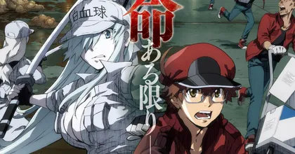 POLYSICS จะมาร้องเพลงประกอบให้กับอนิเมะ Cells at Work! Code Black !