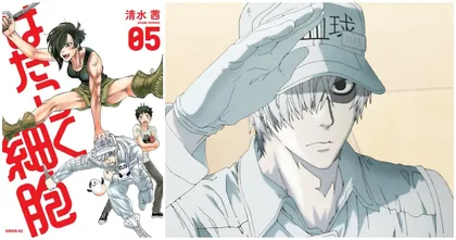 Cells at Work! เตรียมออก มังงะ เล่มใหม่ในรอบ 3 ปีครึ่ง!