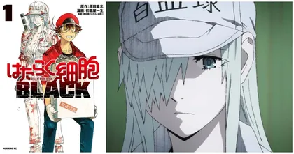 Cells at Work! Code Black ฉบับมังงะจะอวสานในเล่มที่ 8
