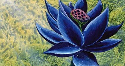 การ์ด Black Lotus ของ Magic: The Gathering ราคาล่าสุดพุ่งทะยานไปที่ 15 ล้านบาท