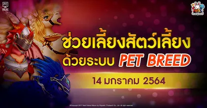 Seal Online Return อัปเดตระบบใหม่ Pet Breed ต้อนรับปีใหม่ 14 มกราคม