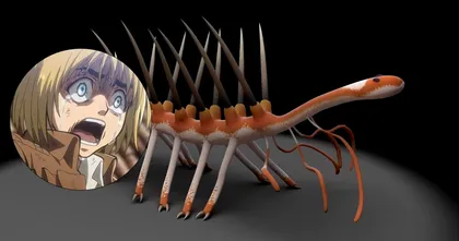 ม.เคมบริดจ์โพสต์คลิปสัตว์โบราณ แต่กลับมาโดนแฟนๆ สปอยล์ Attack on Titan ซะงั้น