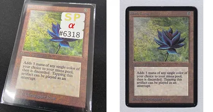 ร้านในญี่ปุ่นตั้งขายการ์ดแรร์จาก Magic: The Gathering ด้วยราคาเกือบ 9 ล้านบาท