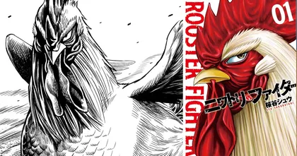 Rooster Fighter มังงะไก่ฮีโร่ปราบปีศาจช่วยเหลือมนุษย์ชาติ วางจำหน่ายเล่ม 1 แล้ว
