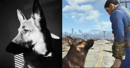 River น้องหมาต้นแบบตัวละคร Dogmeat ใน Fallout 4 ได้เสียชีวิตลงแล้ว