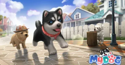 My Dog เกมสุดฮีลใจสำหรับเหล่าทาสน้องหมา พร้อมเปิดให้มาสัมผัสความน่ารักกันแล้วทั้ง Android และ iOS!
