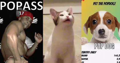 สรุปสถานการณ์ล่าสุดของเกม POPCAT, POPDOG, POPASS ว่าประเทศใดแรงแซงเป็นที่หนึ่งอยู่ในขณะนี้