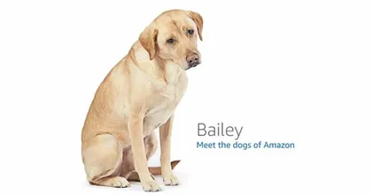 Amazon เอาใจคนรักหมา ? หลังคนญี่ปุ่นพบภาพน้องหมาตอนเว็บเออเร่อ !?