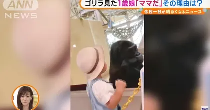 งงเลยสิ คนญี่ปุ่นถ่ายวีดีโอหลังลูกสาวเรียกกอริลล่าว่า "คุณแม่"