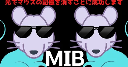 ญี่ปุ่นทดลองลบความจำหนูด้วยแสงสำเร็จ เชื่ออนาคตอาจลบความจำคนได้แบบ MIB