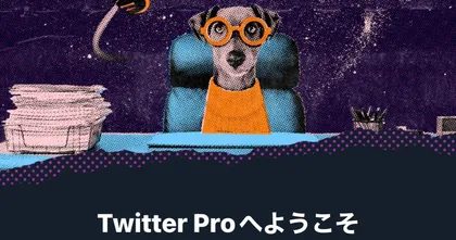 คนญี่ปุ่นเตือน Twitter Pro เงื่อนไขเยอะจนคนสมัครเล่นๆ ต้องระวัง !?