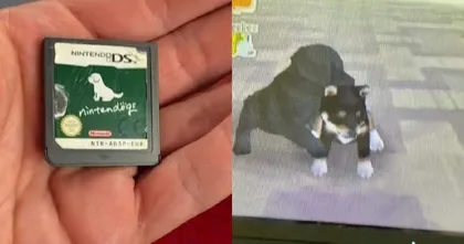 ใจฟู! หนุ่ม TikTok รับเลี้ยงน้องหมาจากในตลับเกม Nintendogs ที่ถูกทิ้งบนรถไฟ