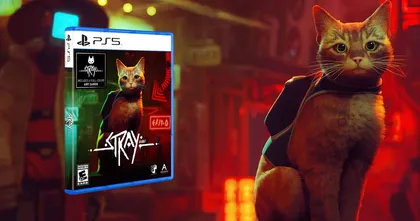 Stray ประกาศทำเวอร์ชั่นแผ่นบน PS5 พร้อมของแถมเอาใจเกมเมอร์ทาสแมว