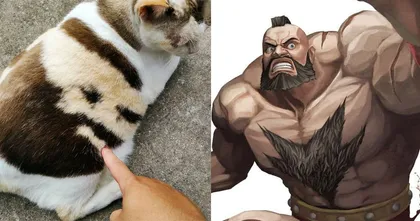 ชาวเน็ตค้นพบแมวที่มีลายบนตัวเหมือนหน้า Zangief ในเกม Street Fighter!