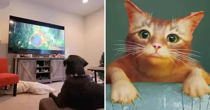 น้องหมากลายเป็นไวรัลใน TikTok หลังอินกับฉากเปิดของเกม Stray อย่างหนัก