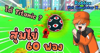 สุ่มไข่ 60 ฟอง หาตัวใหม่ใน Pet Simulator X กับ Tei CH