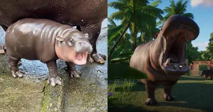Planet Zoo เกมสร้างสวนสัตว์ ที่คุณสามารถเอ็นดูหมูเด้งได้ตามใจนึก ลด 65% บน Steam