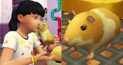 ผู้เล่น The Sims 4 ค้นพบวิธีจบชีวิตชาวซิมส์ด้วยหนูแฮมสเตอร์ได้แล้ว