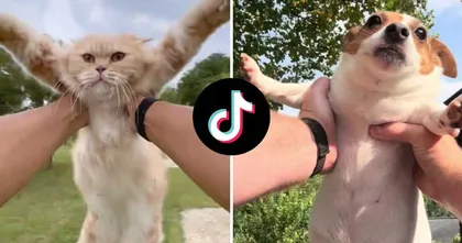 นักสิทธิสัตว์เตือน การจับสัตว์เลี้ยงหมุนตามเทรนด์ Tiktok อาจส่งผลเสียต่อตัวน้องได้
