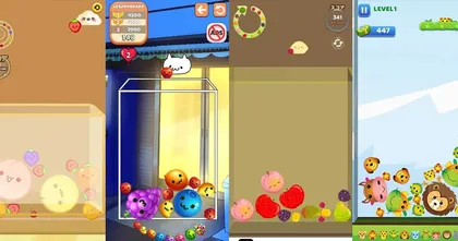 Suika Game ฮิตถล่มทลาย เลยทำให้เกมย้อมแมวผุดตามเป็นดอกเห็ด