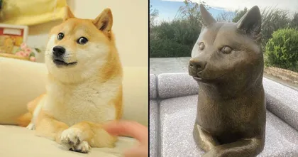 ญี่ปุ่นสร้างอนุสาวรีย์ให้น้องหมาชิบะ เจ้าของมีม Doge อันโด่งดัง