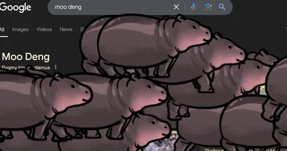 Google มีลูกเล่นใหม่ พิมพ์ค้นหา 'หมูเด้ง' แล้วจะมีปุ่มให้อัญเชิญออกมา!