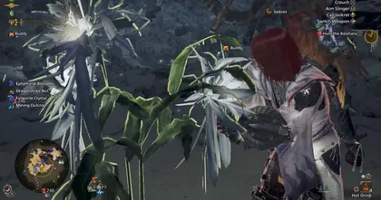 Monster Hunter Wilds - การฟาร์ม Nightflower Pollen เพื่อแลกตั๋วทองทำของ Artian