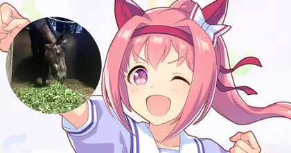 ผู้ดูแล Haru Urara เผย หญ้าจากแฟน ๆ เกมสาวม้าทั่วโลก ส่งถึงฟาร์มแล้ว!