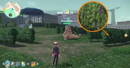 ไร่องุ่นใน Pokemon Legends: Z-A ทำคนนึกถึง "องุ่นความละเอียดต่ำ" สุดมึนจาก Final Fantasy 14!