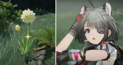 ผู้เล่น Arknights: Endfield อึ้งหลังค้นพบประโยชน์ลับของ Jincao ตัวช่วยพลิกโฉมสายการผลิต Xiranite