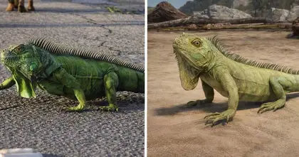 GTA 6 vs RDR2 เทียบชัด ๆ กราฟิกที่ต่างกัน จนแม้แต่ "อีกัวน่า" ก็ยังสมจริงจนน่าทึ่ง